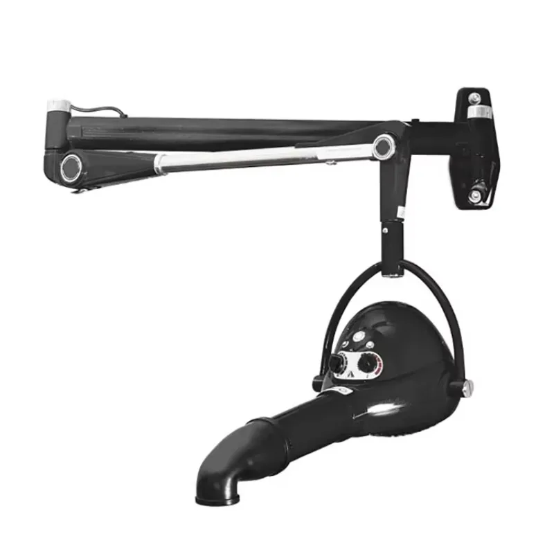 Fashion Design Wall Mounted Brushless Motor Animal Hair Dryer With Large Wind Speed