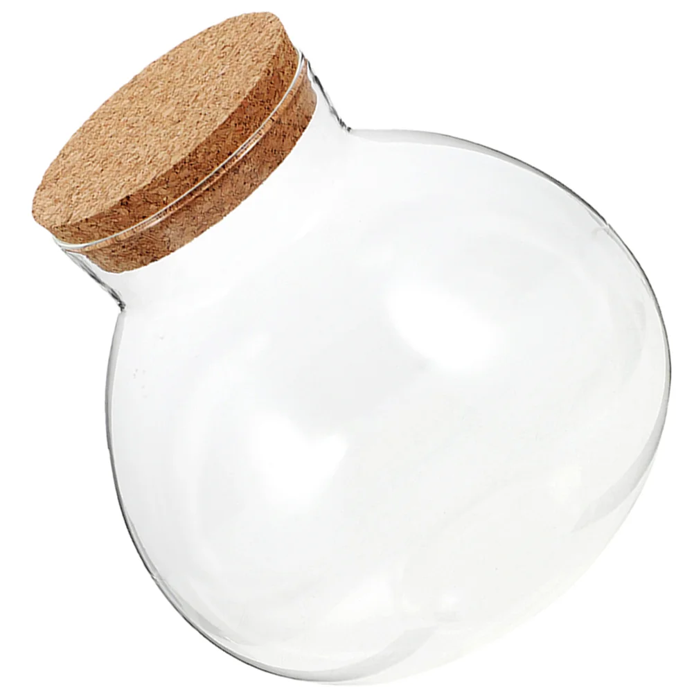 

Glass Moss Bottle Microlandschaft Empty Landscape Micro-landscape Planter Ecological Vases