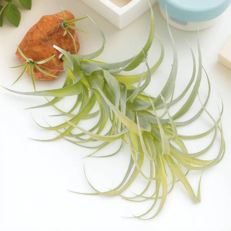 

Artificial Reptile Terrarium Plant Decoration Simulation Lifelike Reptile Box Ornament Natural Habitat Decor Plant Decor