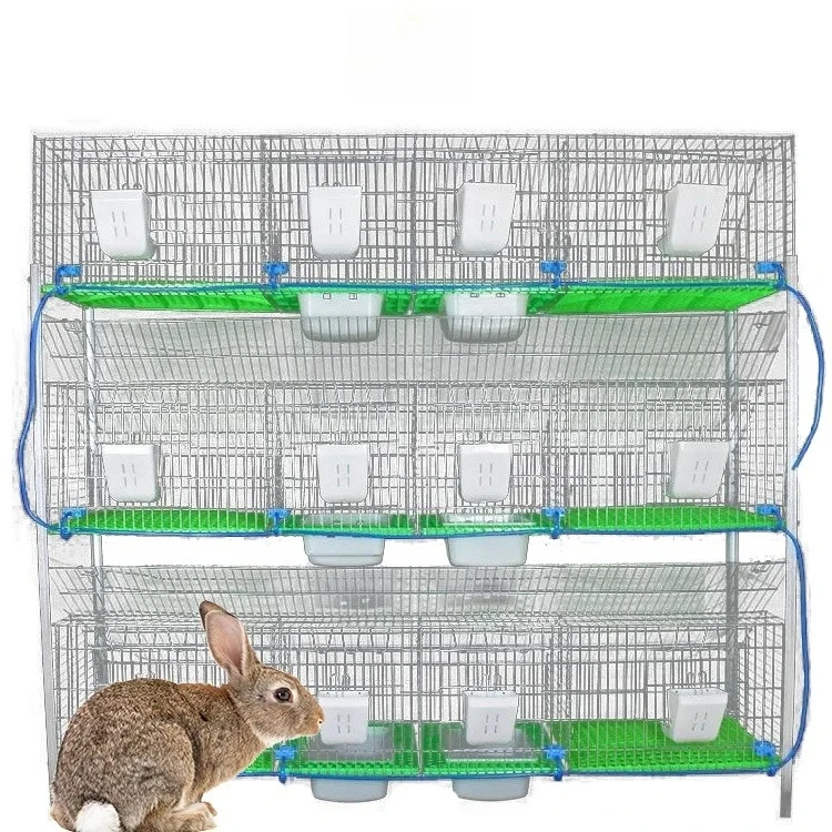

Good Quality Galvanized Pipe Animal Poultry Cages Rabbit Farming Breeding Cages