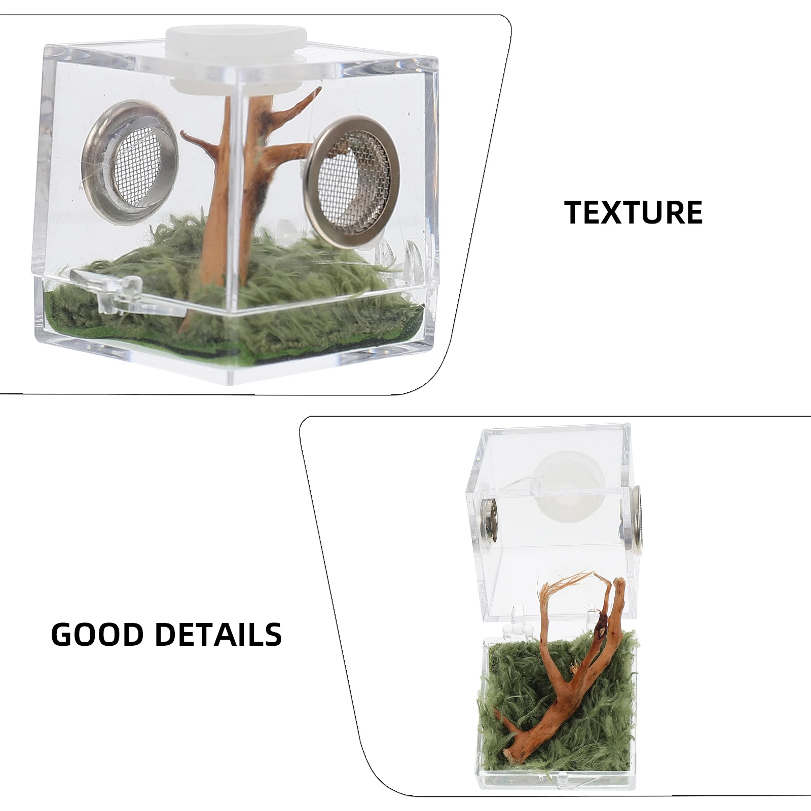 Spider Breeding Box Acrylic Container Clear Case for Jumping Spiders Snails Beetles Portable Habitat Table Decoration Pet