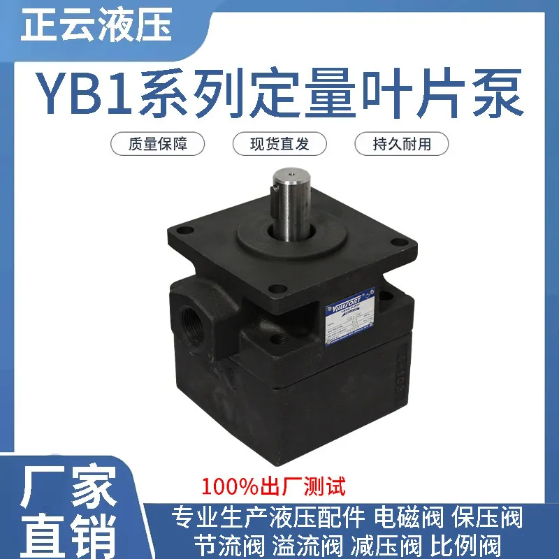 YB1-63, YB1-80, YB1-100 quantitative vane pump