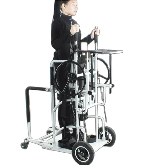 

Hot Sell Standing Walker