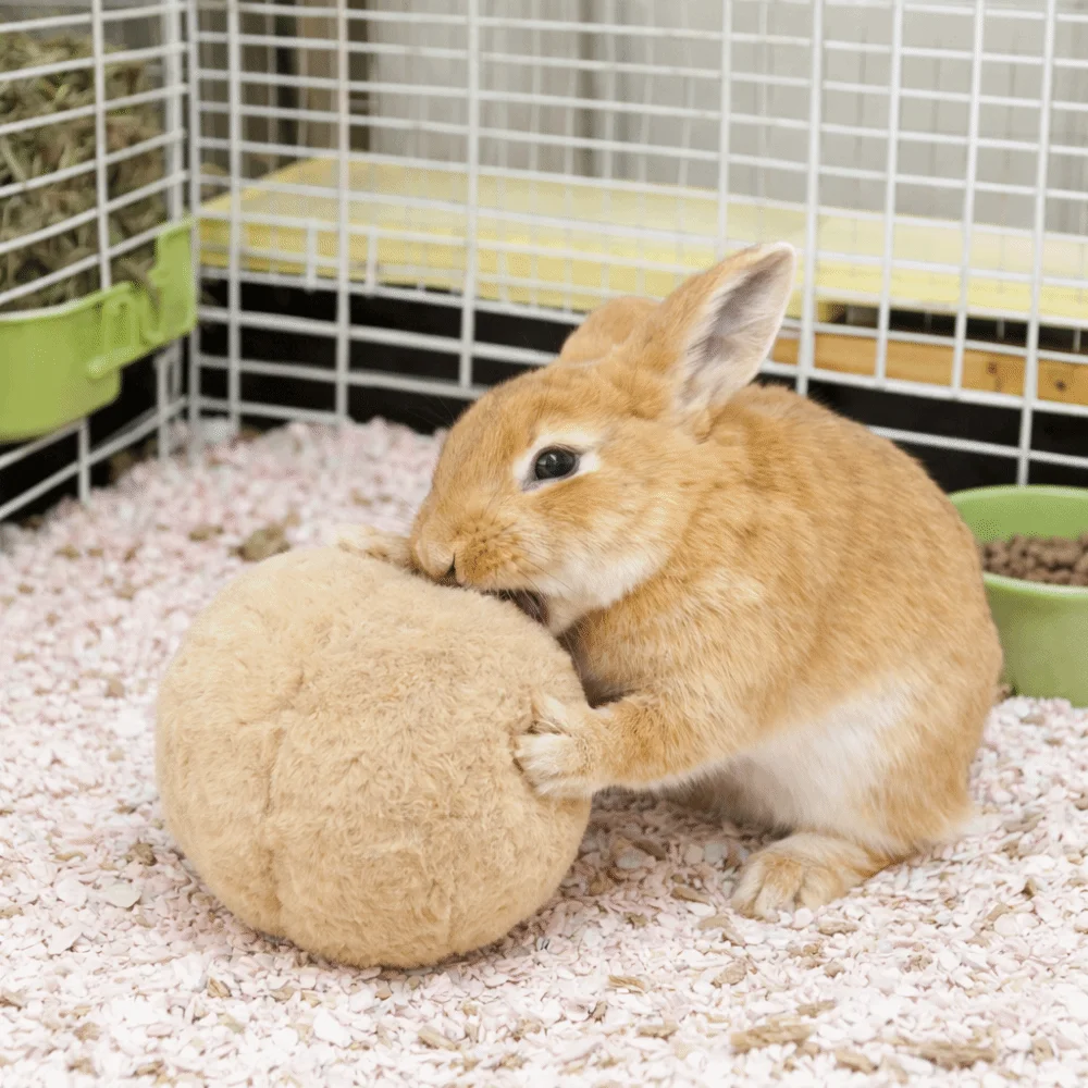 Thumbnail 4 - #32 Cheap Hamster Exercise Wheels Worth Buying