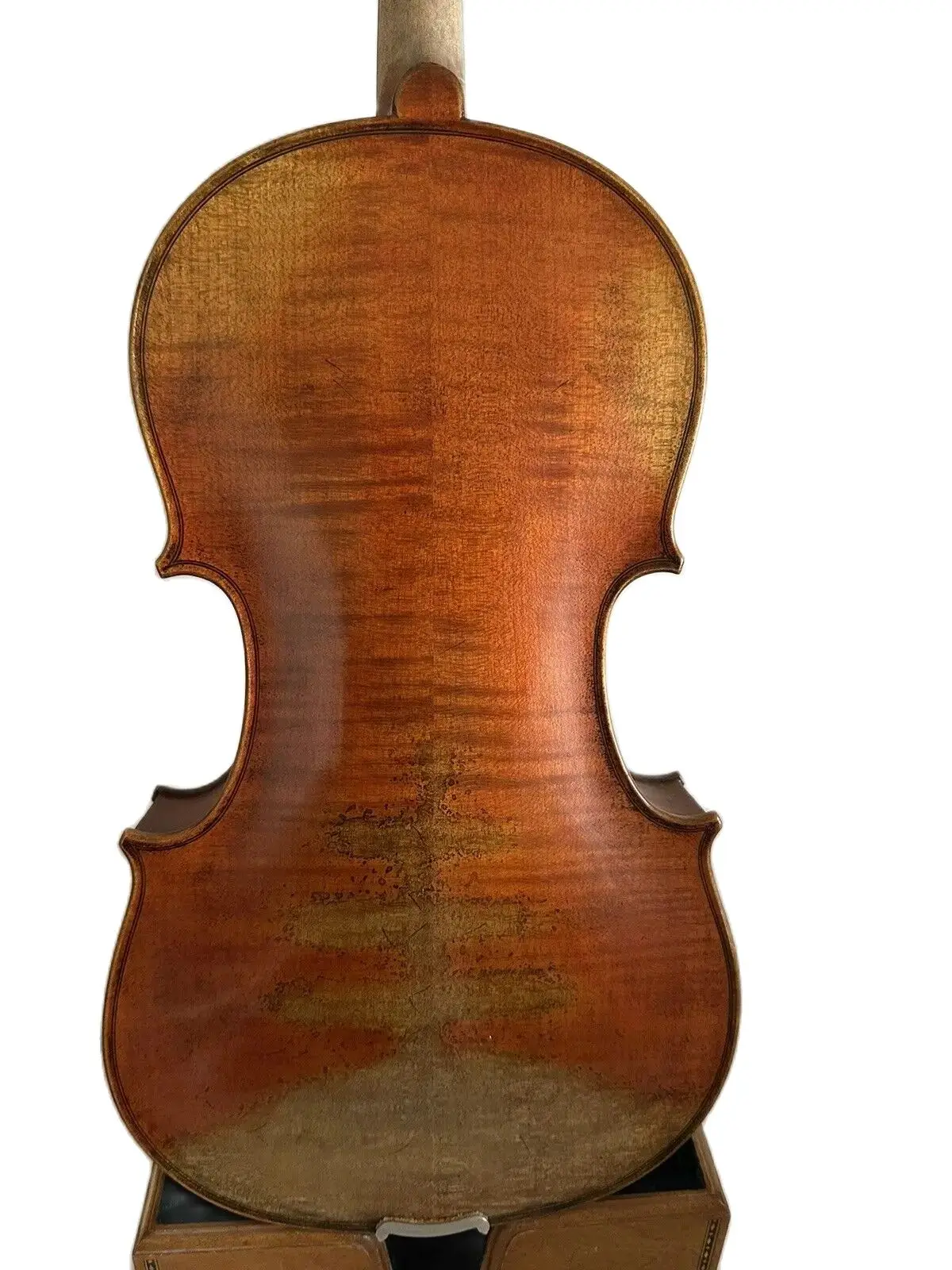 Master Viola 16