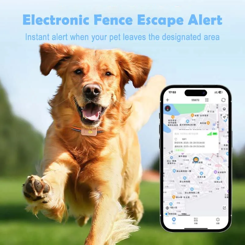 4G LTE Smart Dog GPS Tracker Real-Time Tracking for Dog/Cat/Pets Waterproof & Long Battery Life Pet Tracker view 4