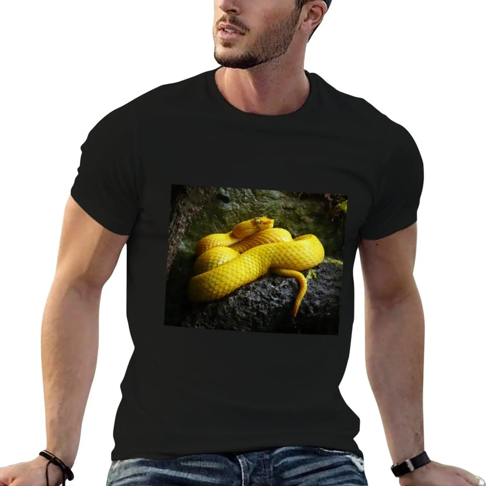 

Eyelash viper T-Shirt t shirts for man pack cotton mens graphic t shirts anime t shirts oversize T-shirt