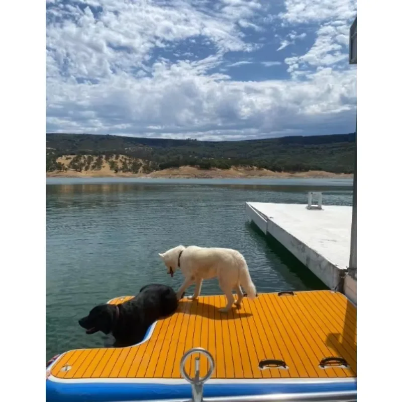 2.5M Large Swimming Pets Dock Pvc Floating Inflatable Boat Pool Ramp for Multiple Dogs