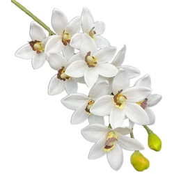 One Real Touch Cymbidium Hookerianum Flower Branch with Long Stem 10 Heads Artificial Tropical Phalaenopsis Tiger Orchid Plant