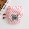 Stripe Koala