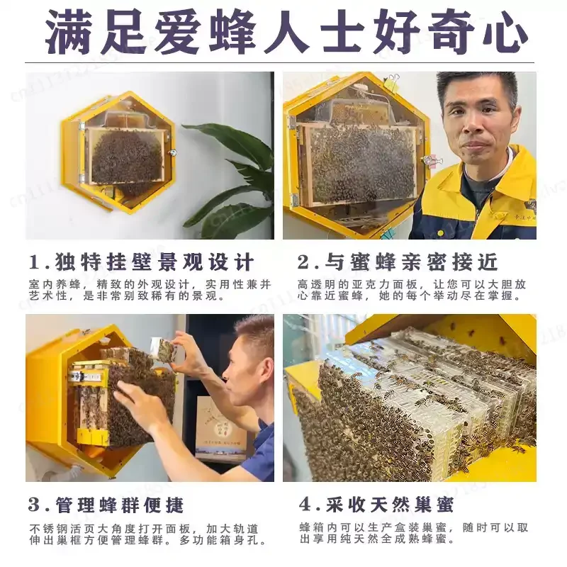 Wall Mounted Observation Beehive, Indoor Beekeeping Hive 2026 Transparent Beekeeping Equipment & Supplies