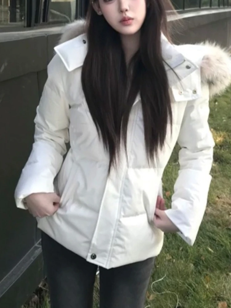 Korean Fashion Elegant Short Puffer Hoodie Coat Women Slim Fit Zipper Fur Collar Thick Warm Parkas Winter Casual Retro Chic Tops