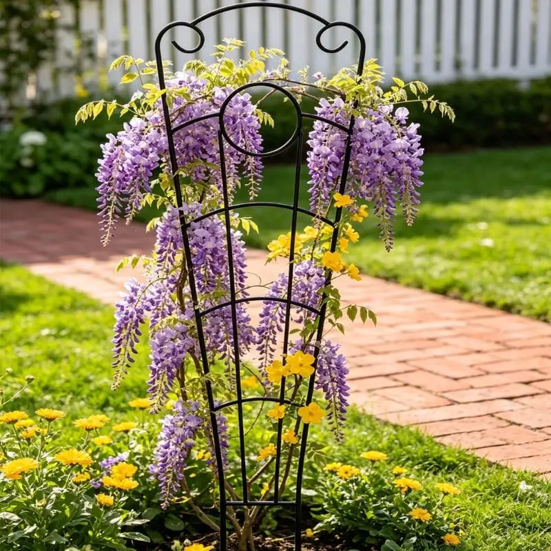Decorative Iron Vine Support For Home Garden Use Great For Vining Houseplants Training Monstera And Other Climbing Plant X3UC