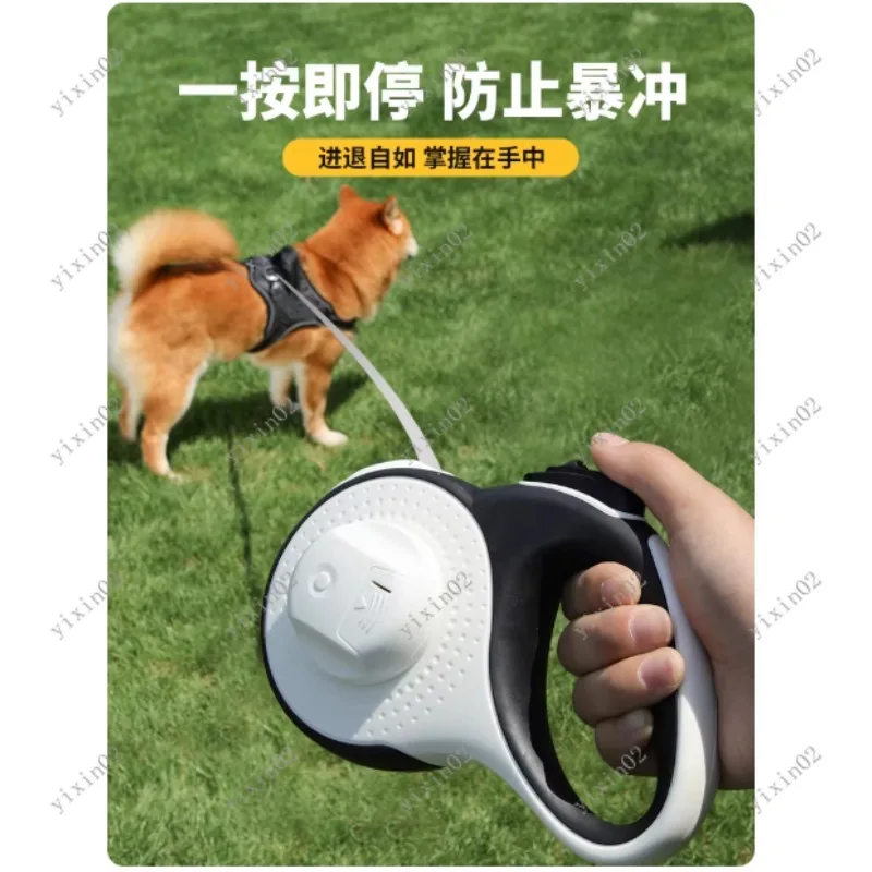 LED Lighted Retractable Dog Leash for Small to Medium Dogs Anti-Escape Nylon Traction Rope Outdoor Walking Safety Feature