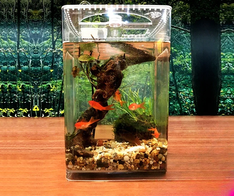 Landscape Ecological Desktop Small Fish Tank with No Water Change