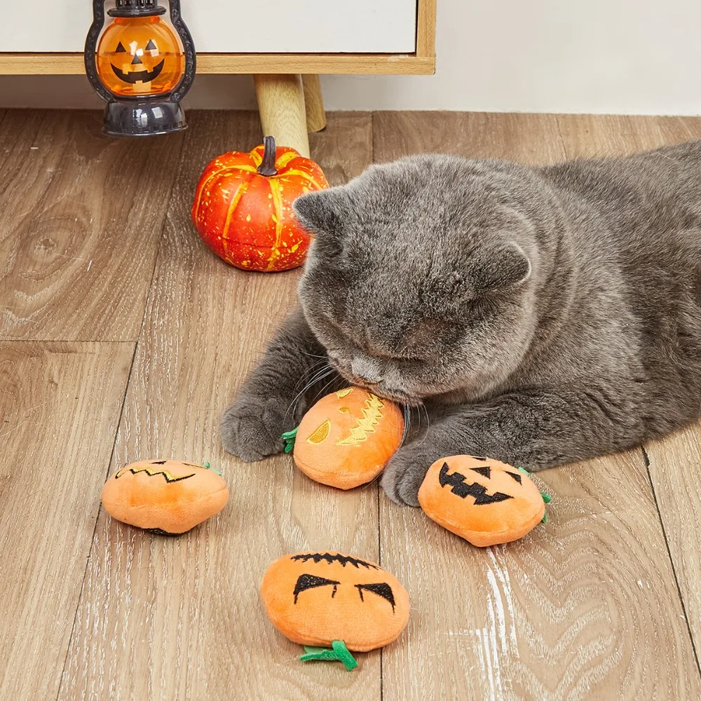 Large Pumpkin Ghost Face Halloween Cat Toy with BB Squeak, Durable Chew Dental Toy - Direct Supply