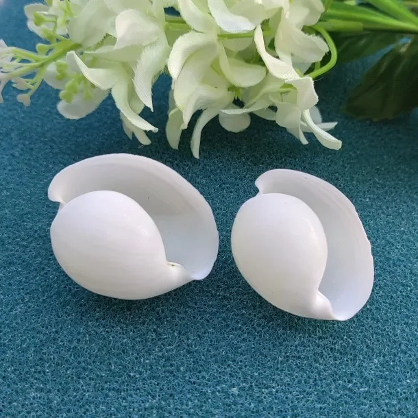 Natural Shell Conch Beads Charm Oval With Holes Loose Spacer Beads For DIY Jewelry Making Home Decoration Crafts Accessories