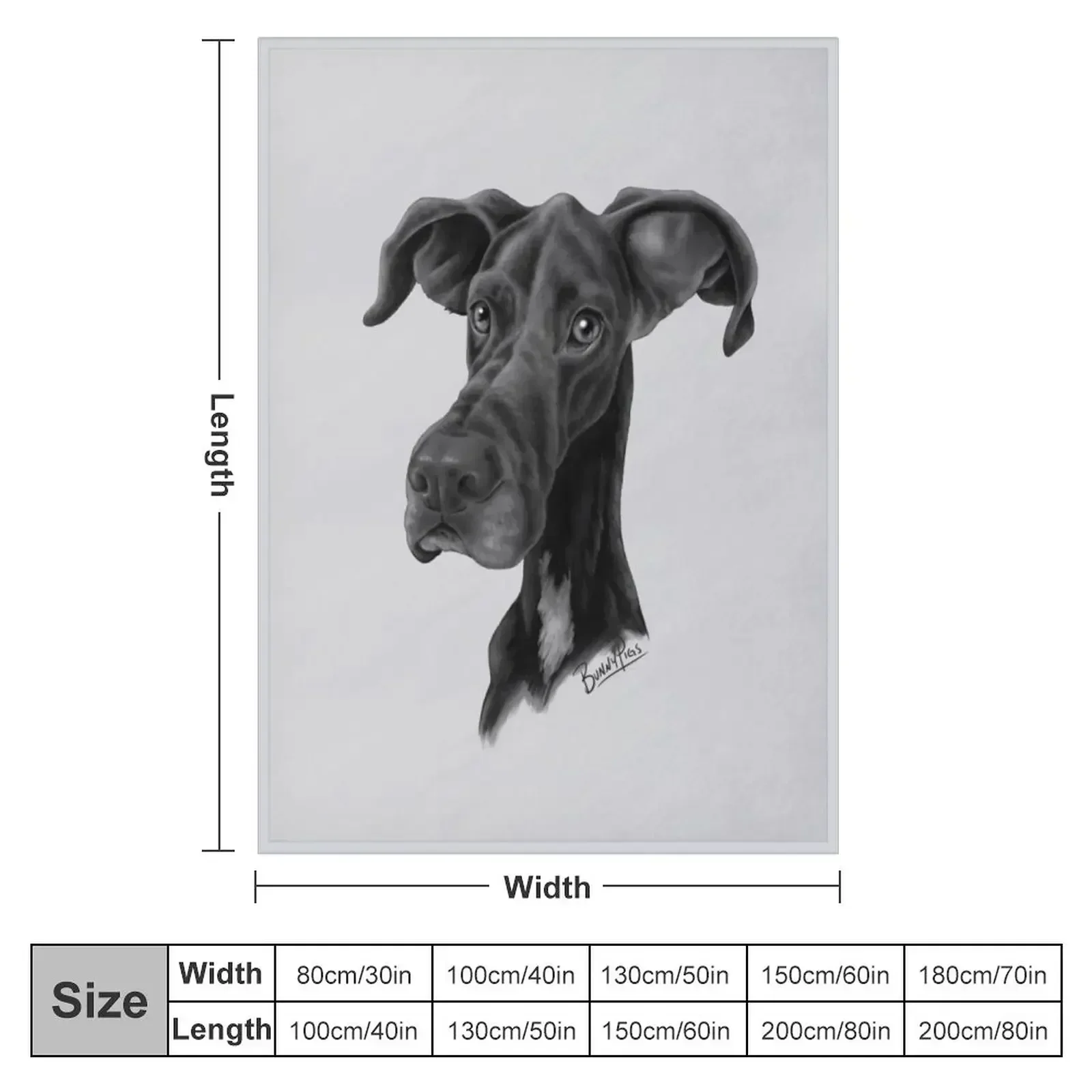 Midnight the Dane Throw Blanket Blankets For Baby Multi-Purpose For Decorative Sofa cosplay anime Luxury Camping Blankets
