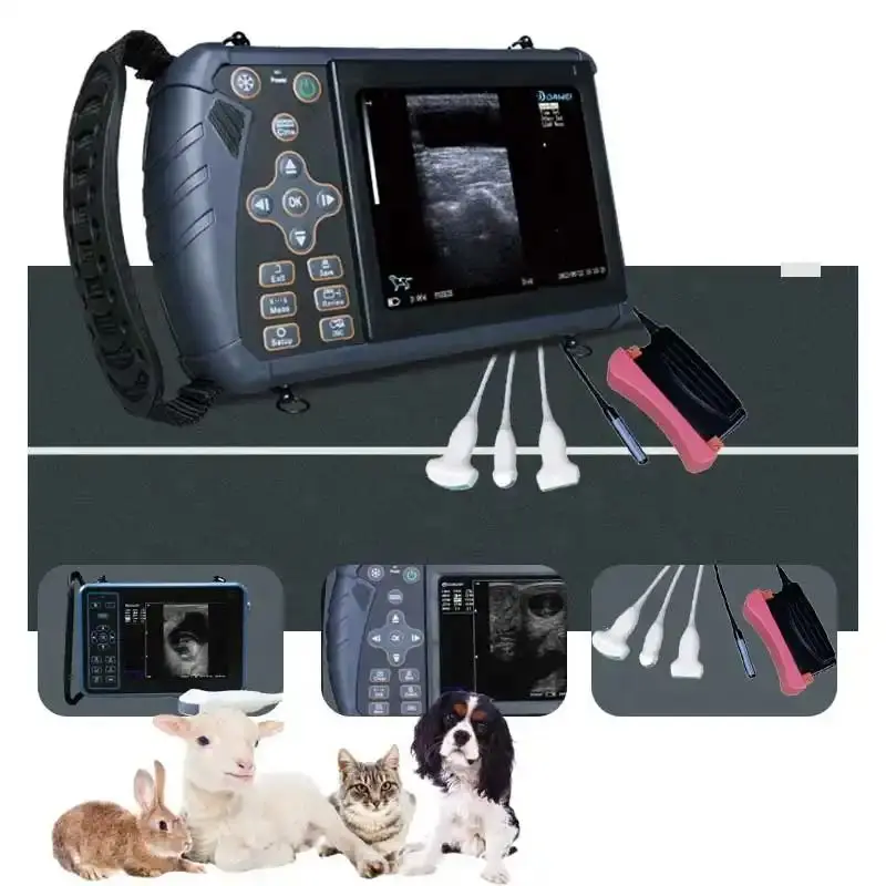 Dawei Backfat Probe 	5.6 inch LED Medical Display Professional Palm Full-digital Veterinary Ultrasonic Scanner System