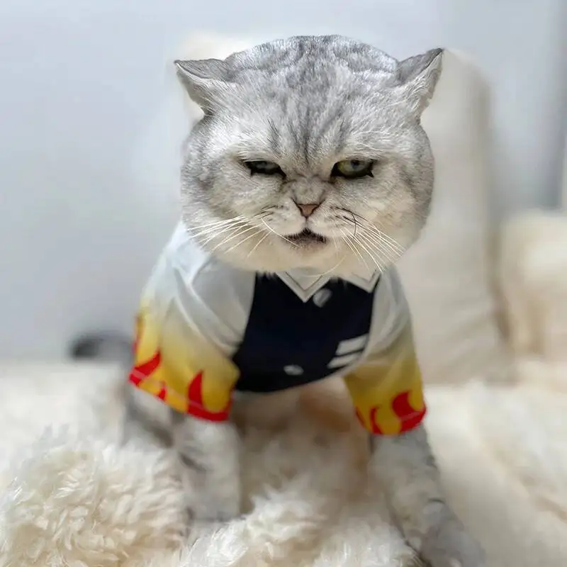 Halloween Pets Cosplay Rengoku Kyoujurou Pet Cosplay Photography Rengoku Kyoujurou Cat Clothes Dog Ghost Killing Team Pets