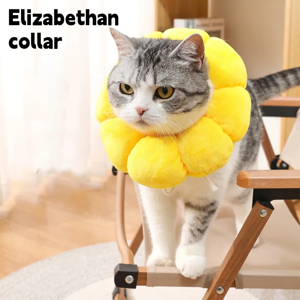 Thumbnail 3 - #52 Pet Collars Price Drop Alerts