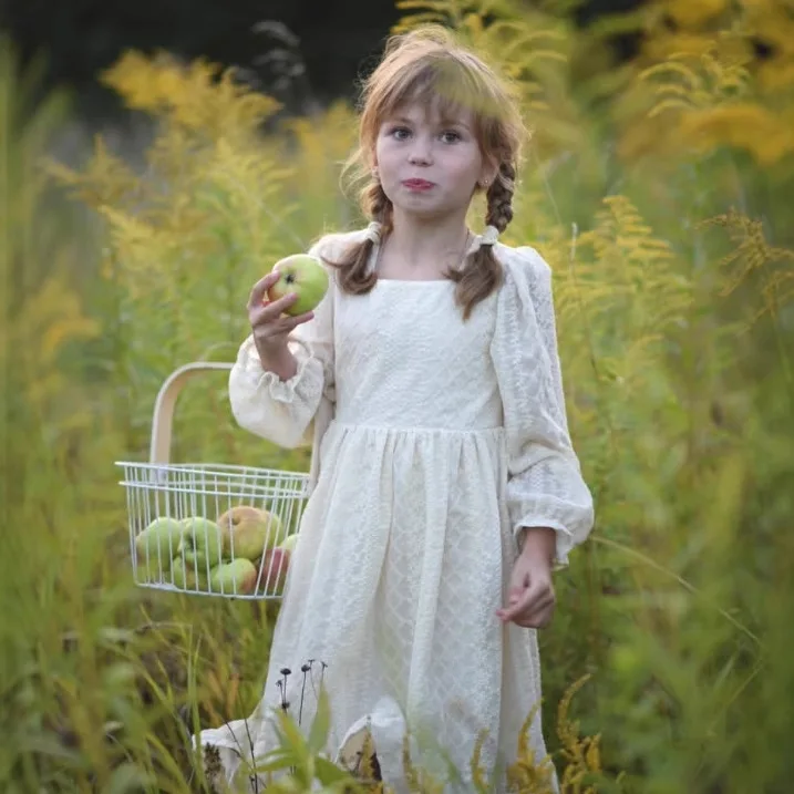 2026 Girls' Spring and Autumn Cotton Embroidered Casual Princess Long Sleeve Lace Dress