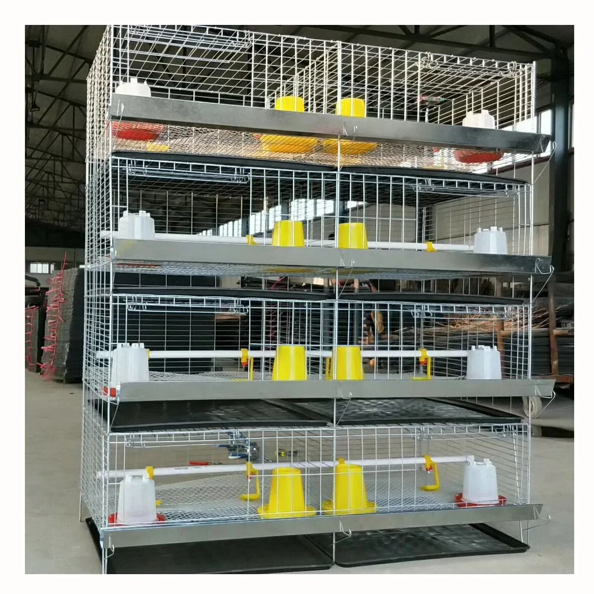 Chicken Cage Little Baby Chicks Egg Broiler Chicken Cage with Automatic Drinking System