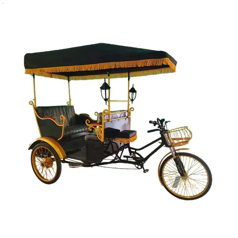 

Passenger ESTER 2024 Goods Carrier Rickshaw Price for Sale USA, pedicab taxi tuk tuk