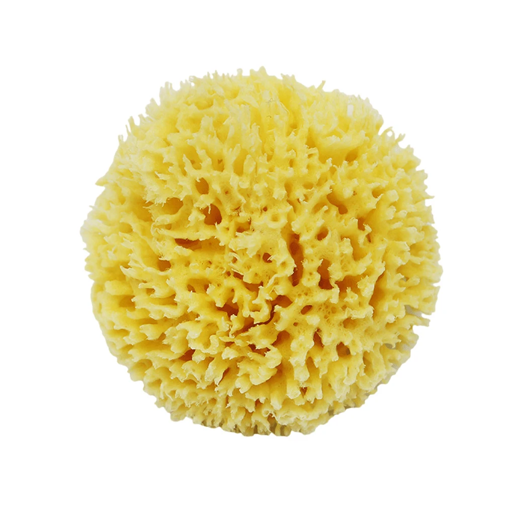 Super Soft Greek Sponge For Gentle Bathing Experience Skin Friendly Natural Sea Sponges For Bathing