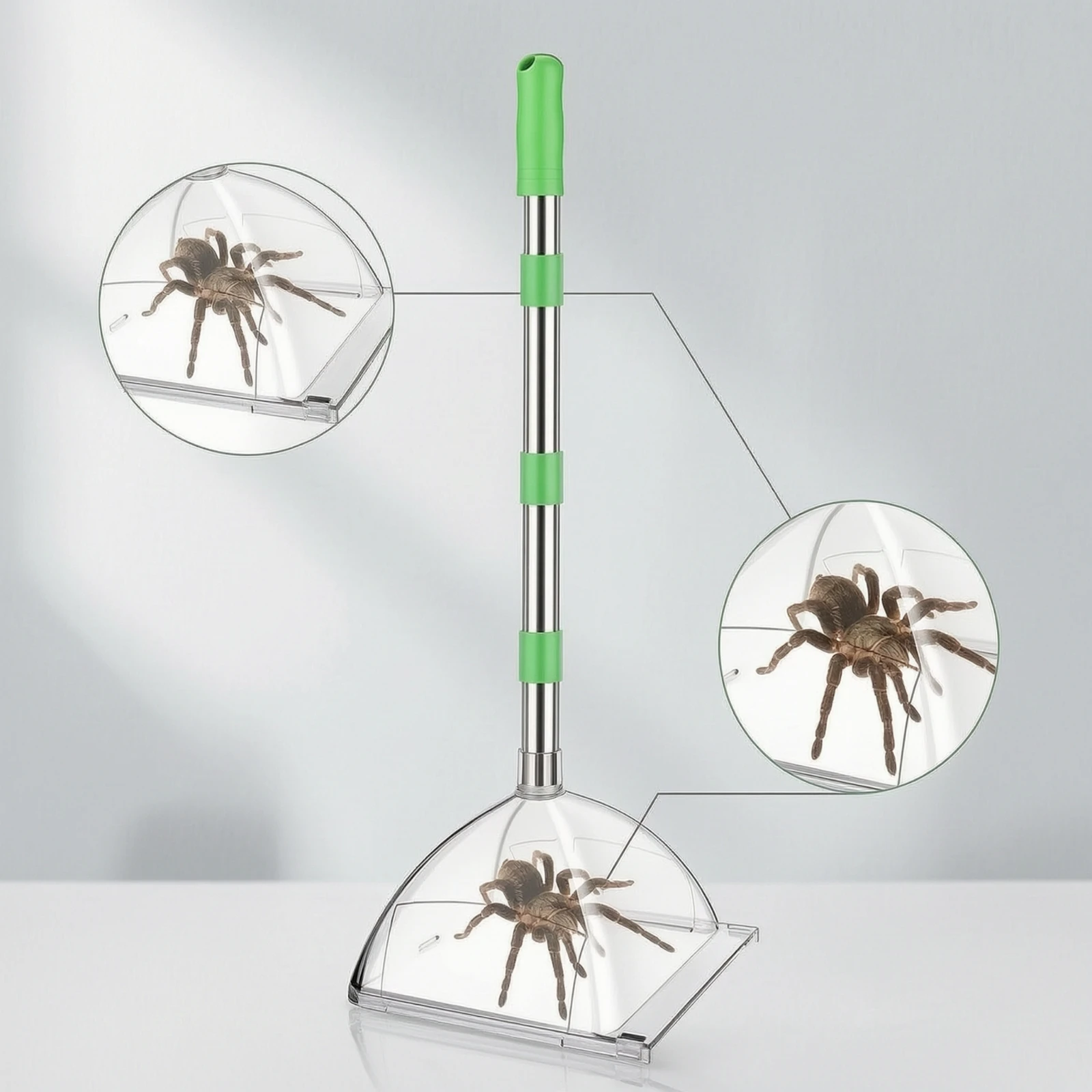 Arachnid Catcher with Sliding Door Foldable Catcher with Telescopic Handle Extended Reach Humane Contain for Arachnophobes