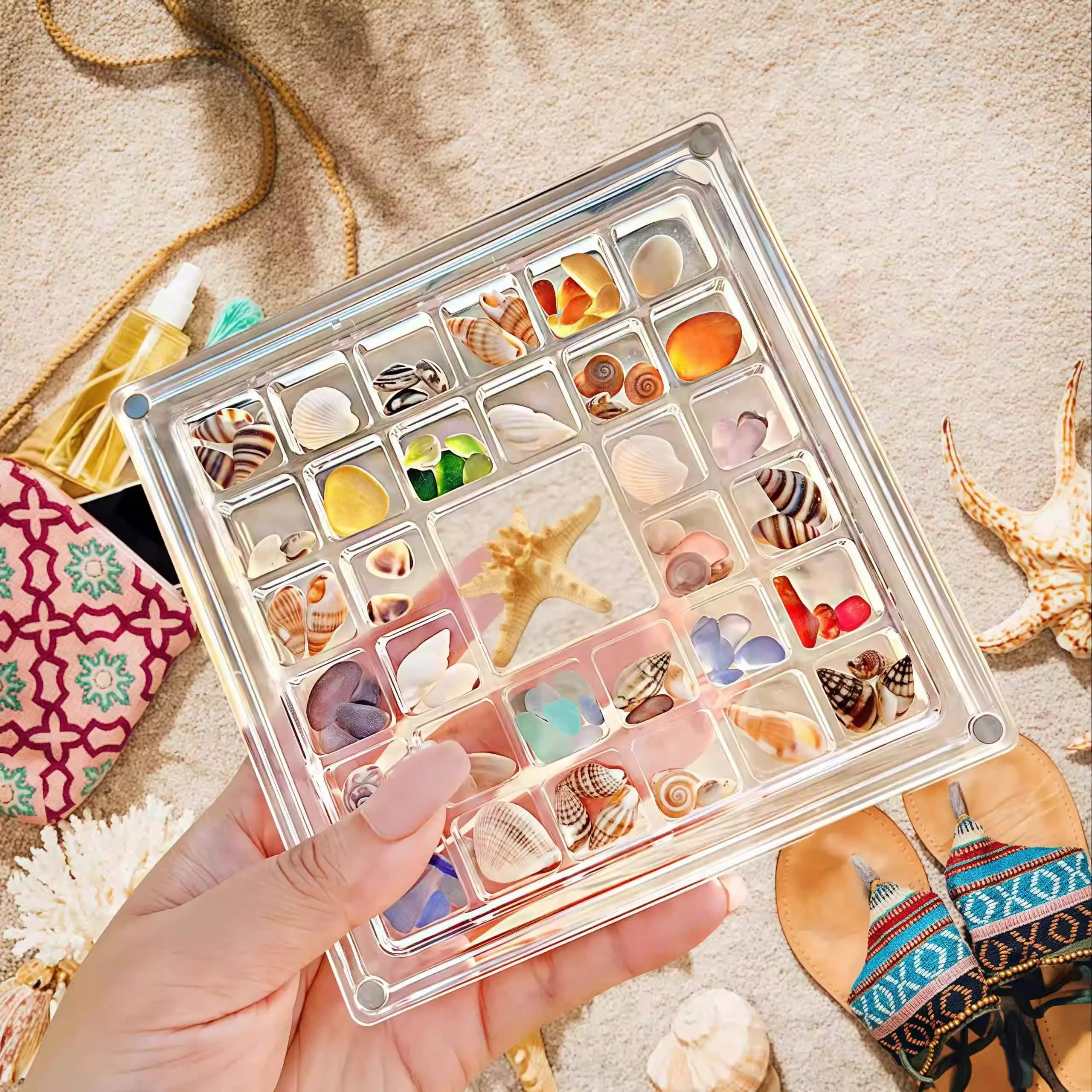 Acrylic Seashell Storage Box Transparent Display Case Beach Collectible Organizer  Shaped Home Organization Holder