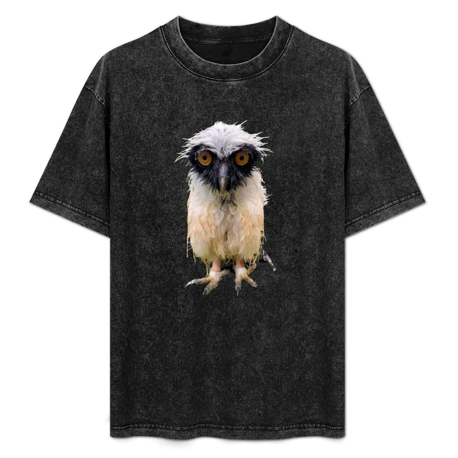 

Wet Owl Meme T-Shirt t shirt custom print man t shirts for men t shirts for man graphic vintage man shirt cotton T-Shirt