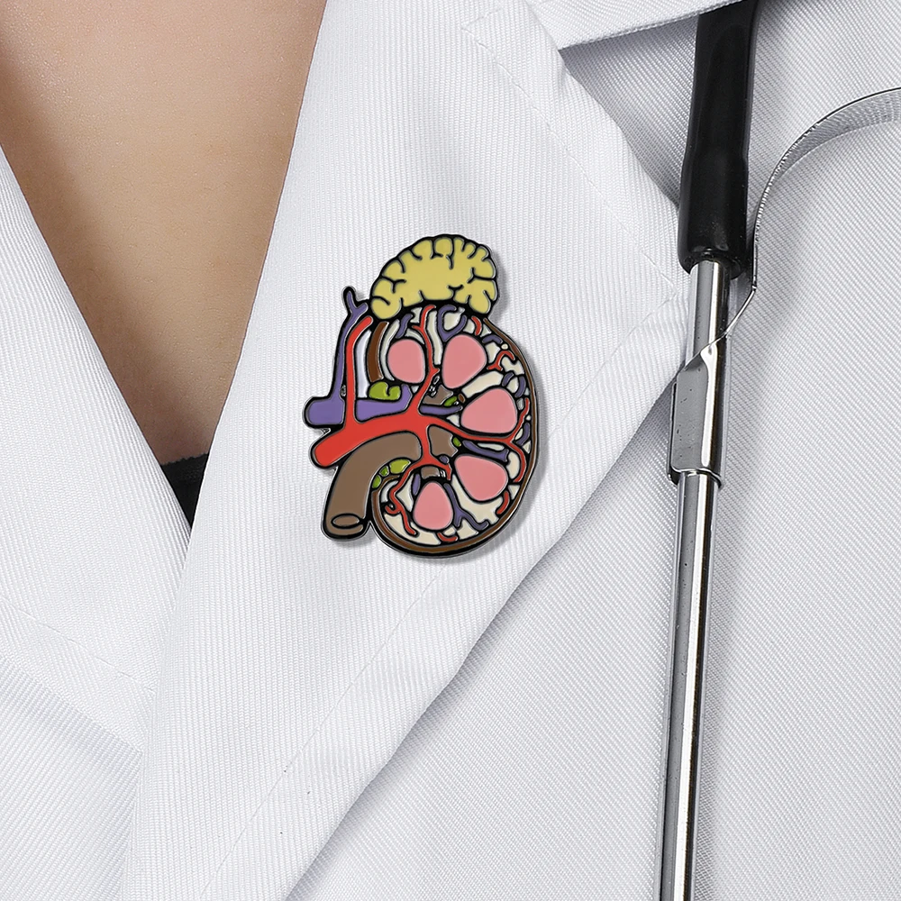 DCARZZ Kidney Enamel Brooch Medical Anatomy Biology Organ Pin Badge for Doctor Nurse Medicine Student Jewelry Accessories