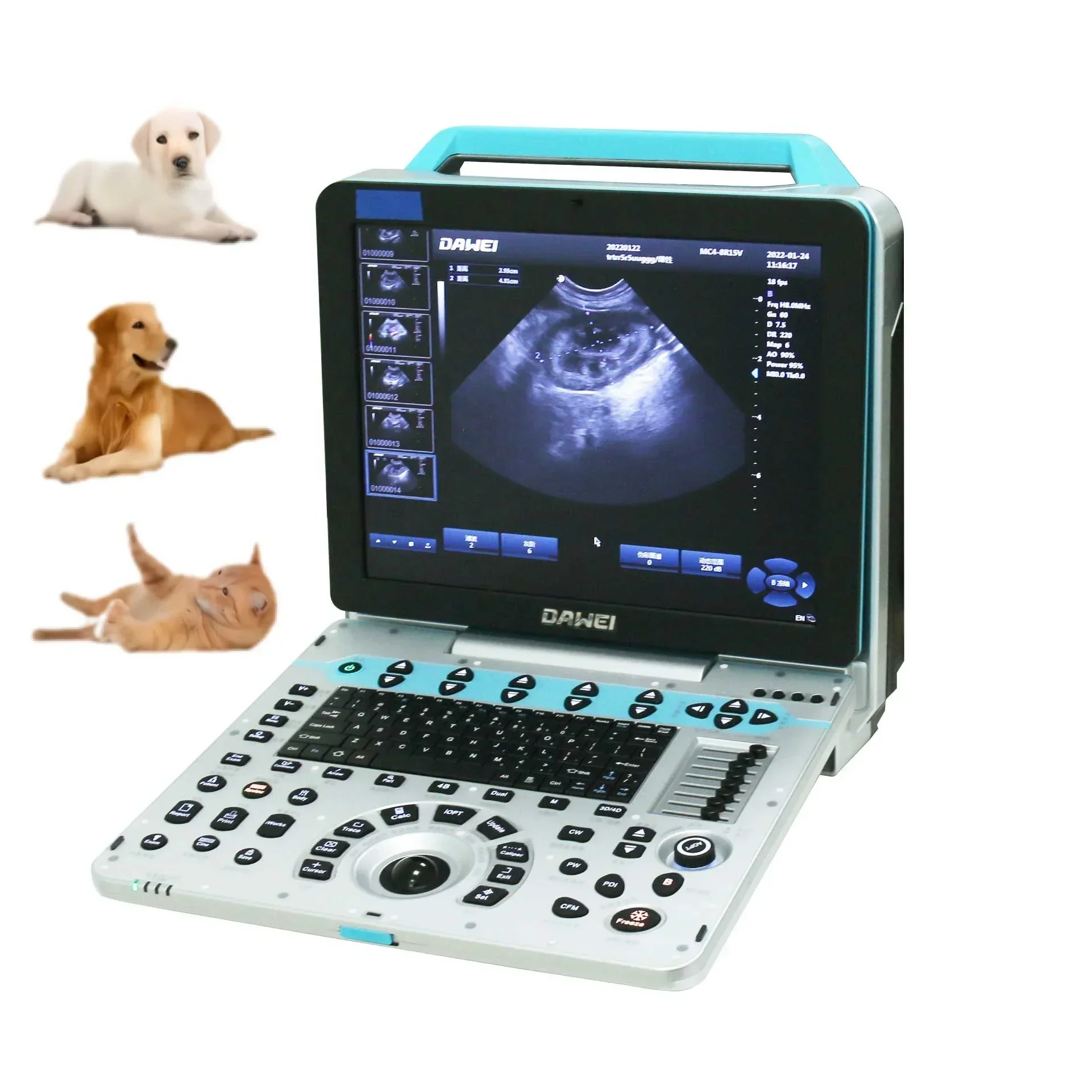 Dawei Veterinary Equipment Suppliers Portable Veterinary Ultrasound Dog Prenancy Scanner