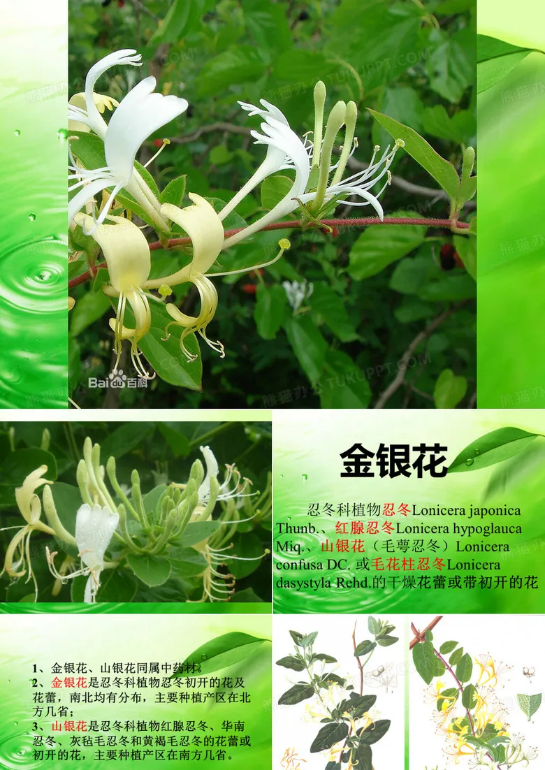 

Комплект из 2 шт. RC-шин ZD 170 мм для монстр-траков, колеса с шестигранным креплением 17 мм для радиоуправляемых внедорожных машин 1/8 масштаба HPI Redcat Rovan Savage Racing Cars