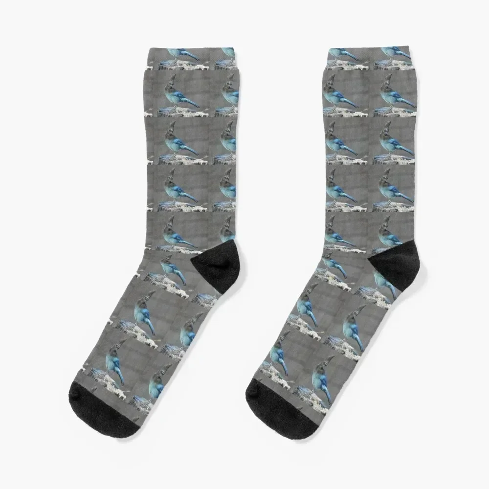 Wild birds, Stellar's Jay, wildlife, blue jay Socks bright garter Run sports stockings Luxury Woman Socks Men's