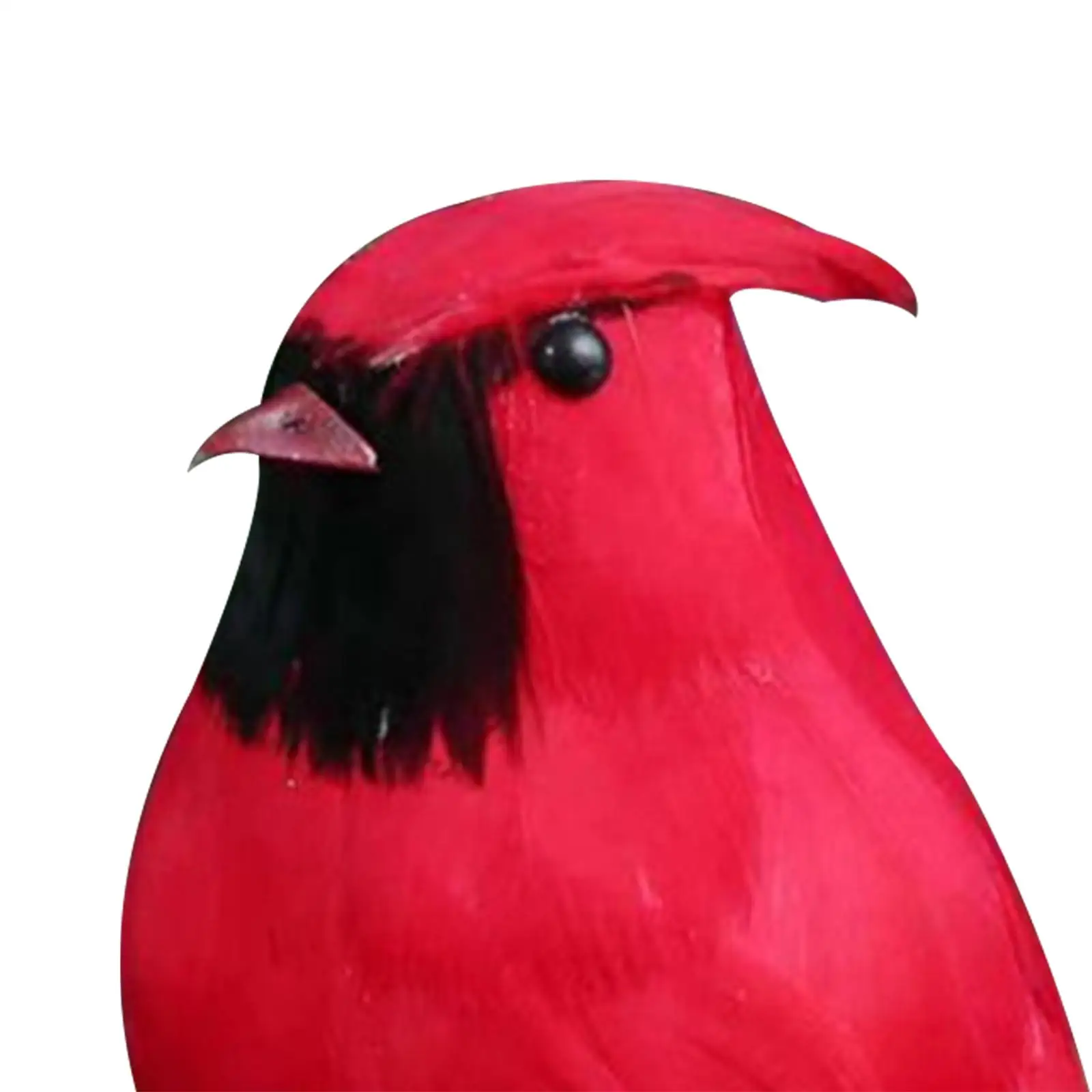 Realistic Birds Statues Yard Art Collection Decorative Parrot Decoration