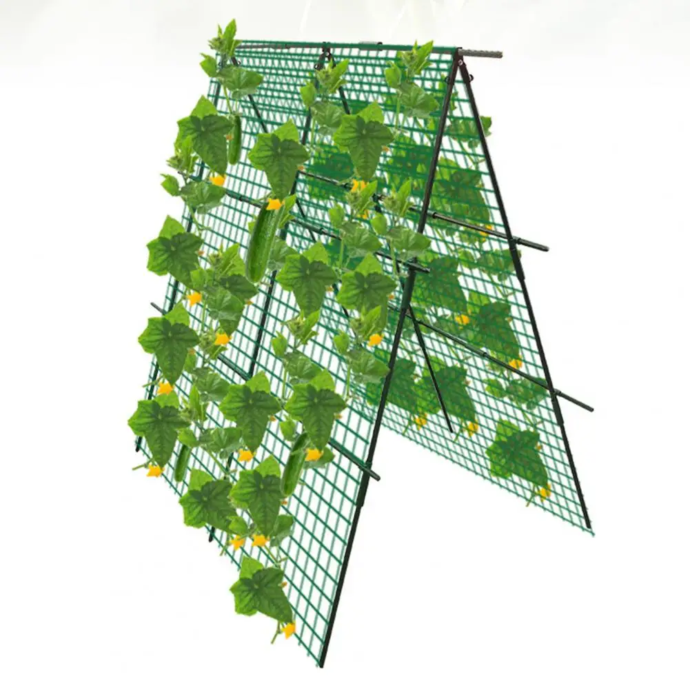 

A-Frame Climbing Cucumber Trellis Plastic-Coated Steel Pipes Plant Growth Support Trellis Plant Support Frame Vegetable