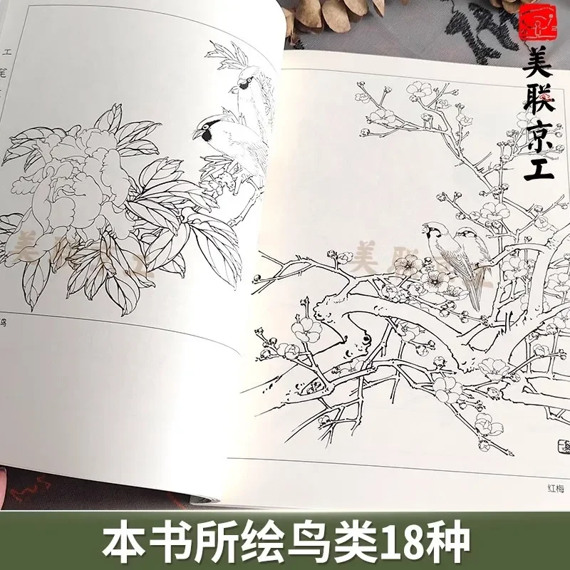 Gongbi Style White Drawing Book Classical Bird Chinese & Flower Templates Tutorial