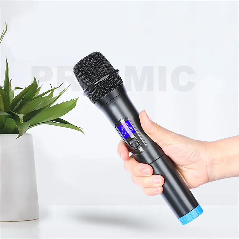 VHF Fixed Frequency Karaoke Microphone Dual Channels Wireless Microphone System Handheld Dynamic Mic for Party Band Church Show