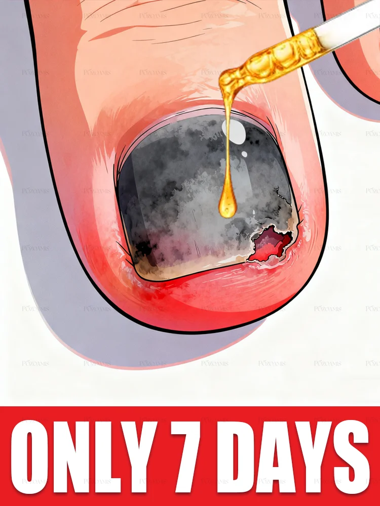 

Nail Cleansing Brush, Plastic Dust-Clearing Tool, Nail Decoration Accessory, Special Promotion, 2025 Bestseller