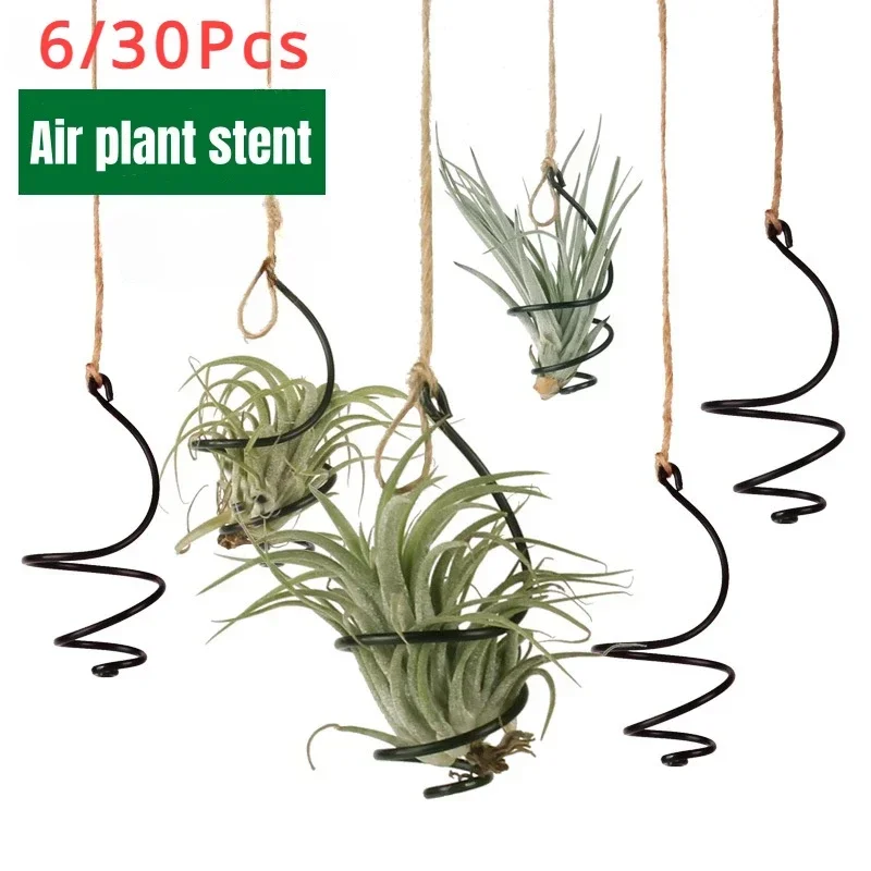 6/30Pcs Air Pineapple Hook Tillandsia Hanging Flower Stand Pots Display Hanger Holder Iron