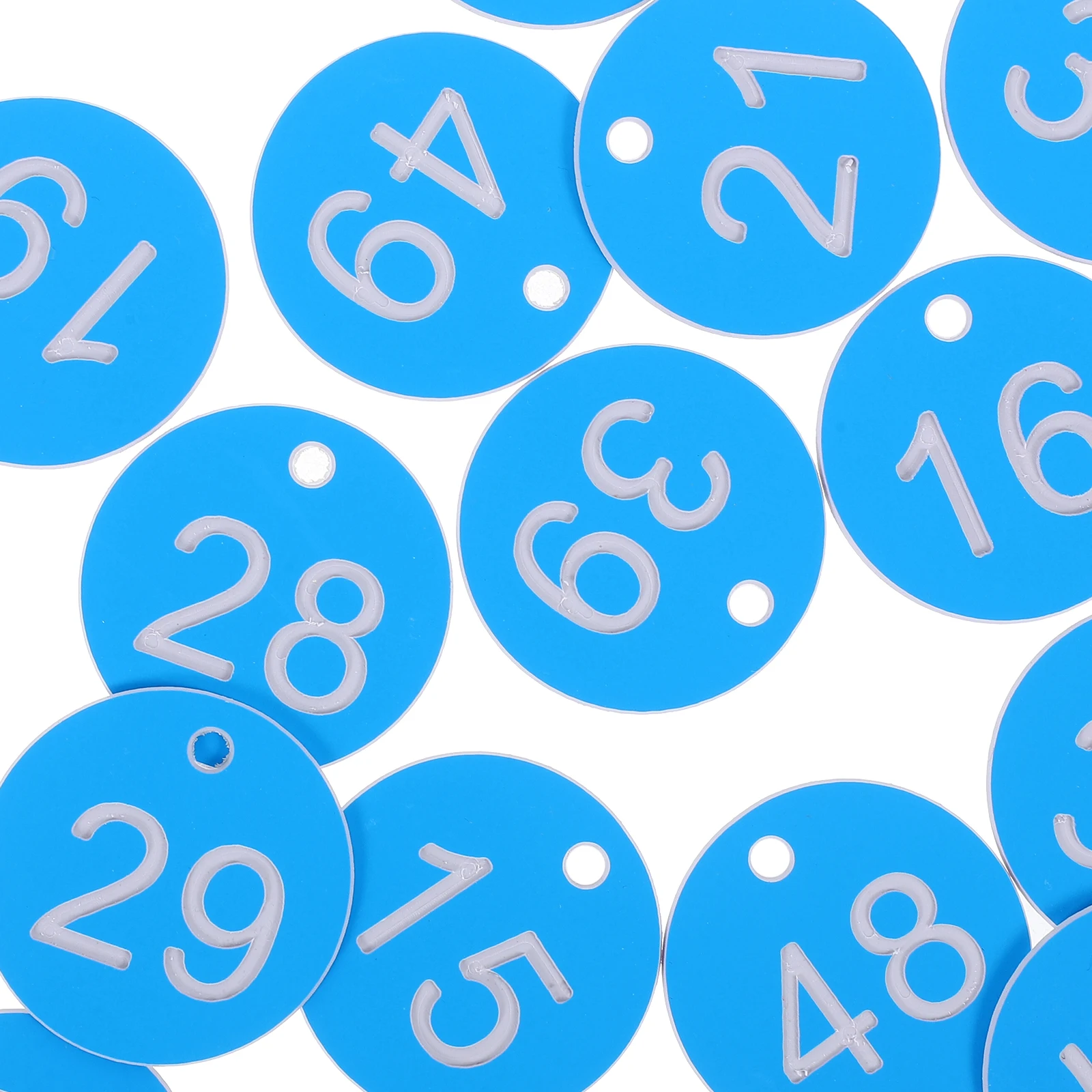 

1 set Blue Plastic Valve Labels Number Tags Engraved Classification Organization Locker Sauna Storage Identification Plates