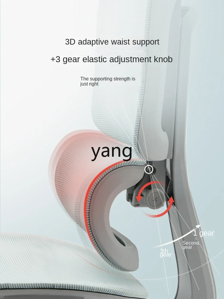 LTT Ergonomic Chair High School Students Learning Computer Chair Youth Waist Support Office E-Sports Seat