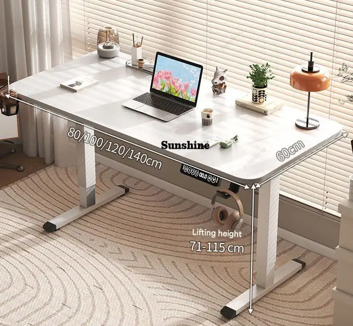 

80/100/120/140cm Height Adjustable Office Computer Desk Motion Study Gaming Table Standing Desk for Home And Business Use