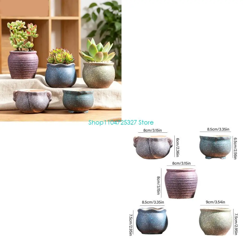 D8KF Home Office Ceramic Pot Set, 5 Small Flower Pots with Mixed Forms for Tabletop, Shelf and Indoor Window Display Use