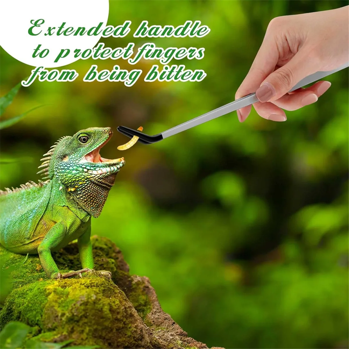 2025+ 2個入り タンクアクセサリー ステンレス製 爬虫類給餌トング ドラゴン水槽用ピンセット テラリウムフィーダーツール