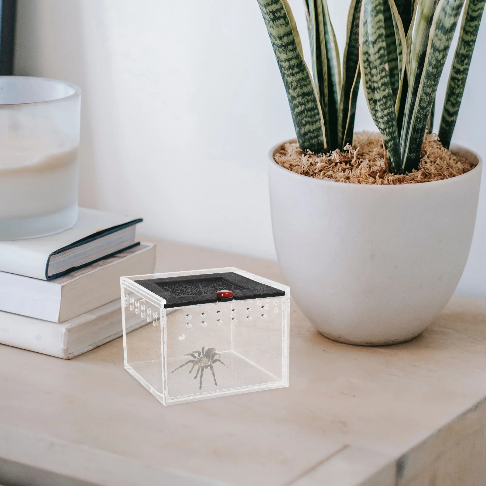 1 قطعة صندوق تغذية الزواحف خزان تربية الاكريليك ل العنكبوت العقرب الحيوانات الأليفة الحيوانات الصغيرة شفافة التهوية الهروب واقية الحاويات