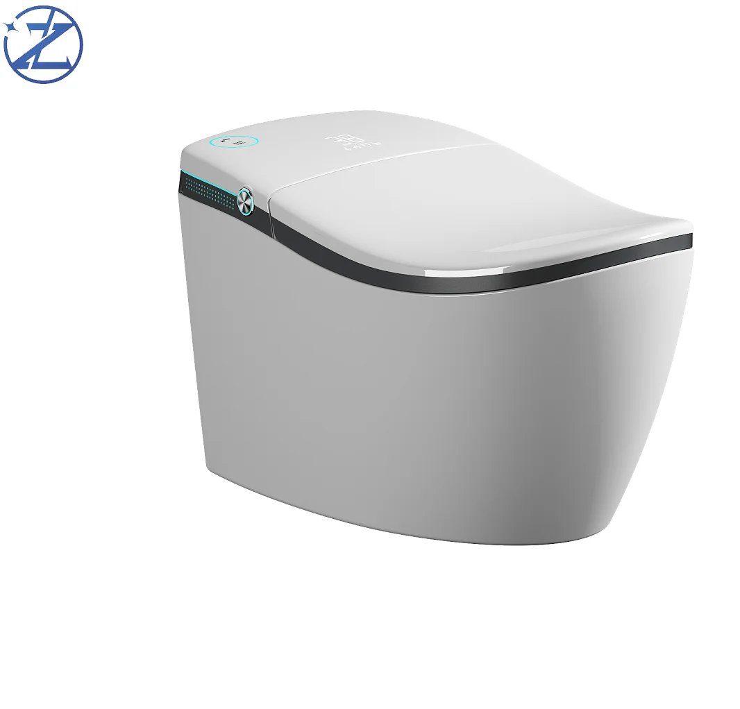 

Высококачественная умная автоматическая смывная унитаза, удлиненная сантехника для дома и отеля, умный шкаф для воды