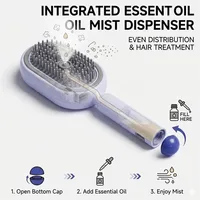 Electric Spray Air Cushions Massage Comb 3 in 1 Self Cleaning Steam Essential Oil Brush Rechargeable Spray Scalp Massager Combs 3